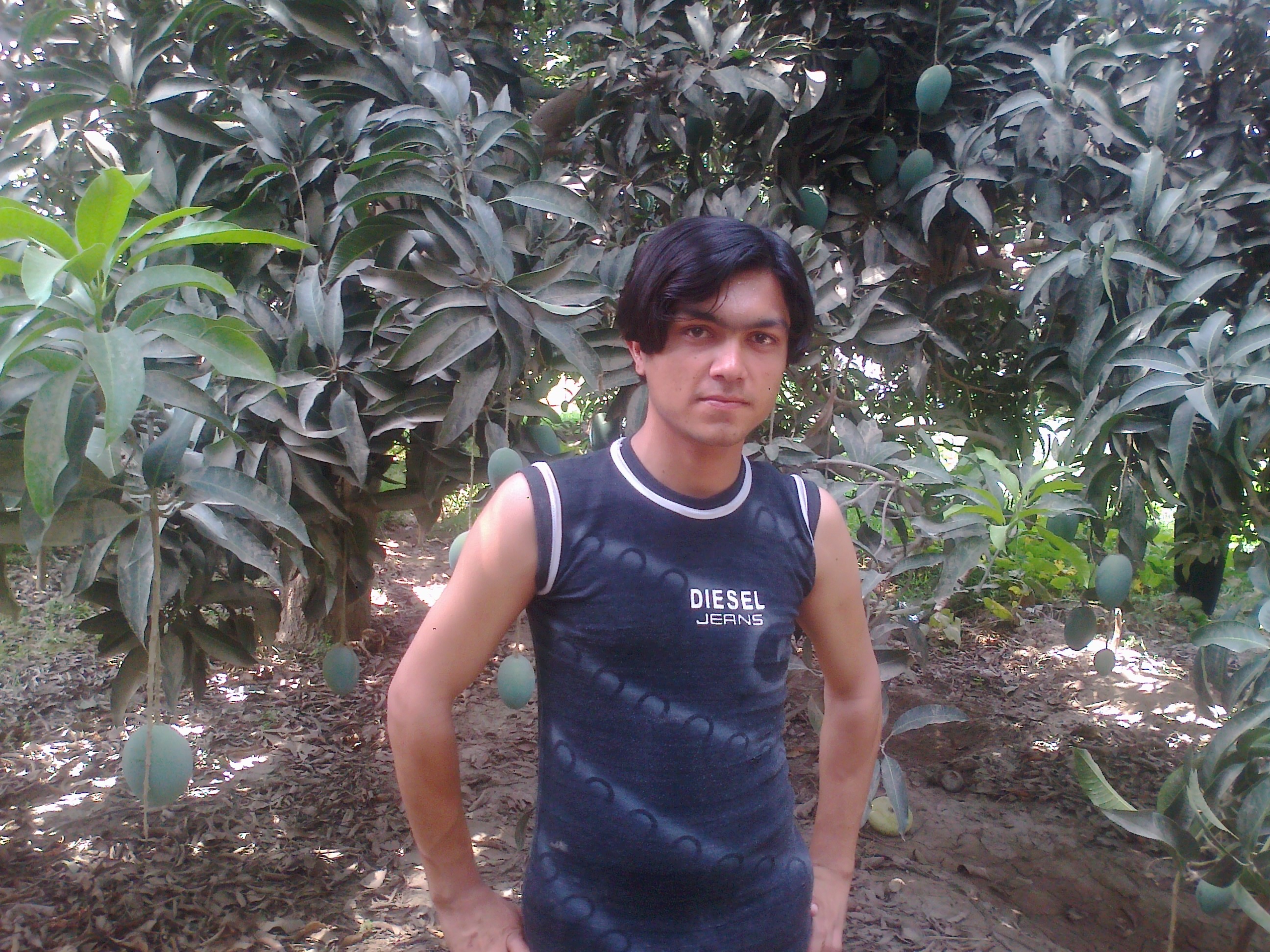 YASIR ALI